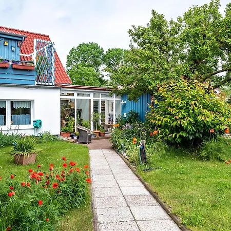 Moeve Aba 62 * 奥斯特巴德里克