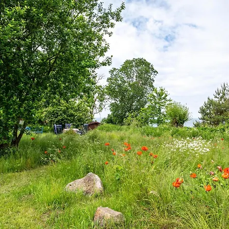 Moeve Aba 62 * 奥斯特巴德里克